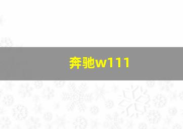 奔驰w111