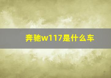 奔驰w117是什么车