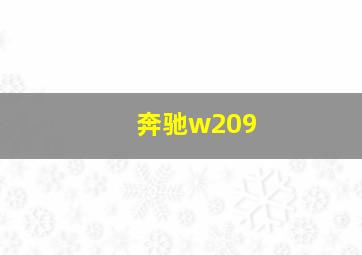 奔驰w209