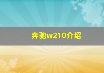 奔驰w210介绍