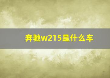 奔驰w215是什么车