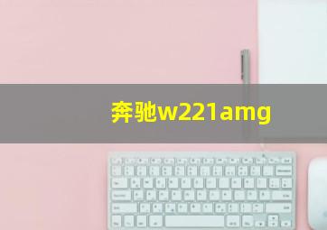 奔驰w221amg