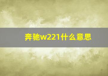 奔驰w221什么意思