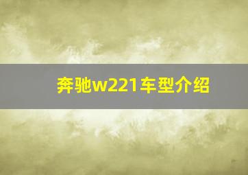 奔驰w221车型介绍