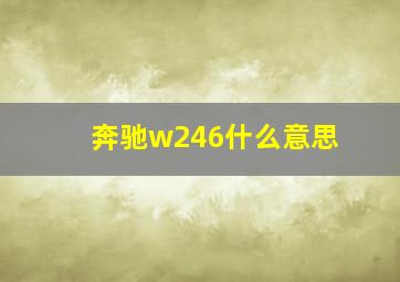 奔驰w246什么意思