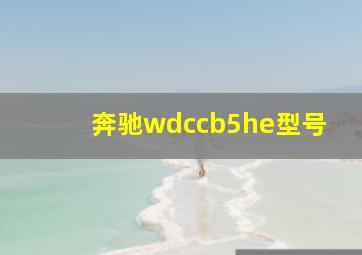 奔驰wdccb5he型号