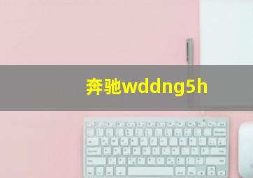 奔驰wddng5h