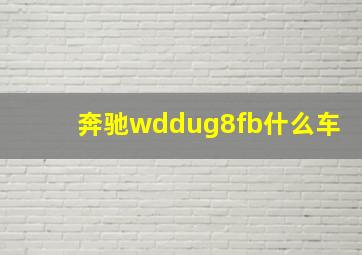 奔驰wddug8fb什么车