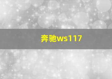 奔驰ws117