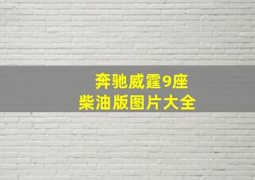 奔驰威霆9座柴油版图片大全