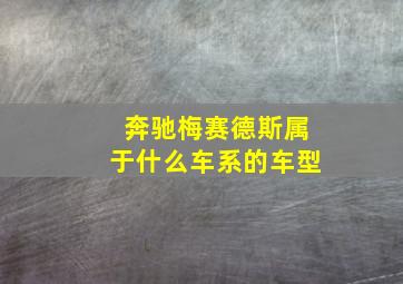 奔驰梅赛德斯属于什么车系的车型