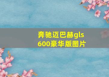 奔驰迈巴赫gls600豪华版图片