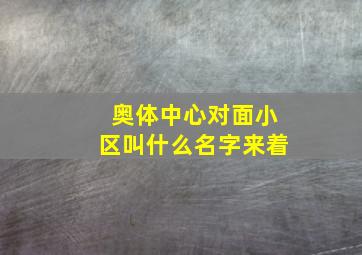 奥体中心对面小区叫什么名字来着