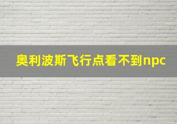 奥利波斯飞行点看不到npc