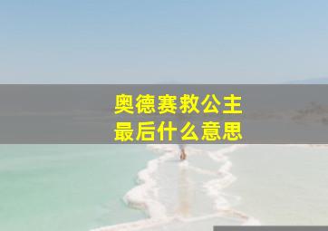 奥德赛救公主最后什么意思