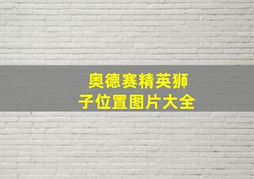 奥德赛精英狮子位置图片大全