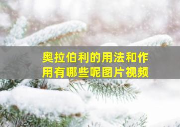 奥拉伯利的用法和作用有哪些呢图片视频