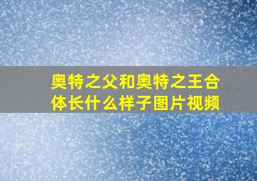 奥特之父和奥特之王合体长什么样子图片视频