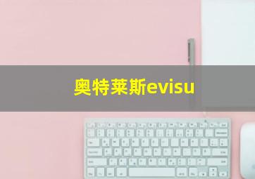 奥特莱斯evisu