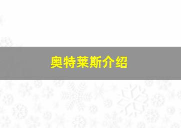 奥特莱斯介绍