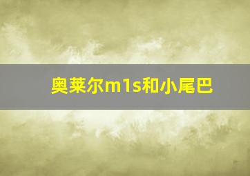 奥莱尔m1s和小尾巴