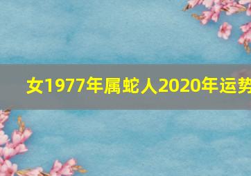 女1977年属蛇人2020年运势