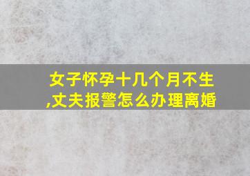 女子怀孕十几个月不生,丈夫报警怎么办理离婚