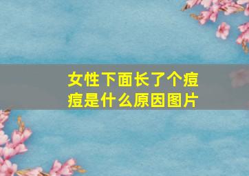 女性下面长了个痘痘是什么原因图片