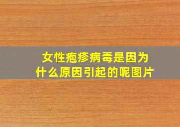 女性疱疹病毒是因为什么原因引起的呢图片