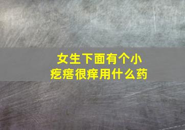 女生下面有个小疙瘩很痒用什么药