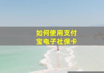 如何使用支付宝电子社保卡