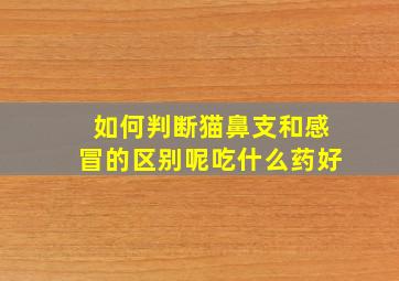 如何判断猫鼻支和感冒的区别呢吃什么药好