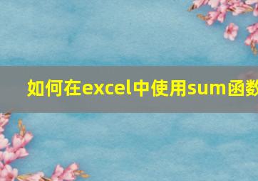 如何在excel中使用sum函数