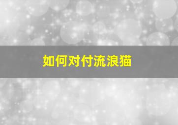 如何对付流浪猫