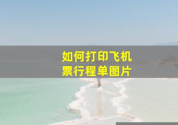 如何打印飞机票行程单图片