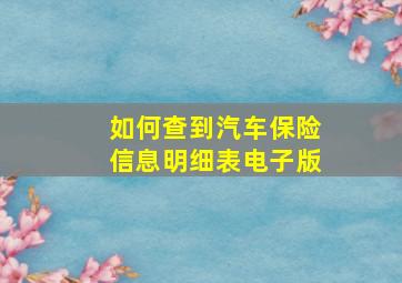 如何查到汽车保险信息明细表电子版