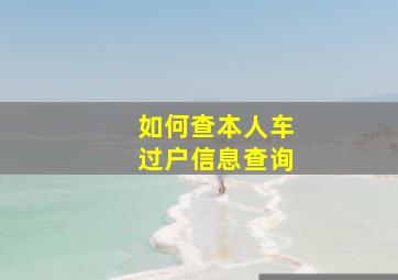 如何查本人车过户信息查询