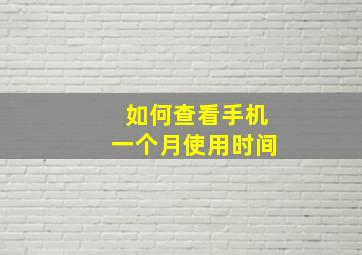 如何查看手机一个月使用时间