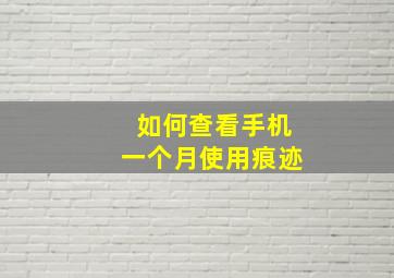 如何查看手机一个月使用痕迹