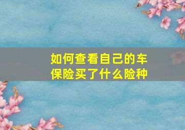 如何查看自己的车保险买了什么险种