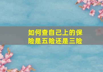 如何查自己上的保险是五险还是三险