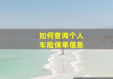 如何查询个人车险保单信息