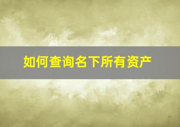 如何查询名下所有资产