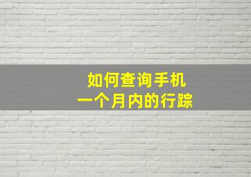 如何查询手机一个月内的行踪