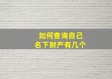 如何查询自己名下财产有几个