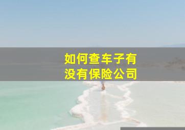 如何查车子有没有保险公司