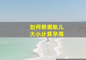 如何根据胎儿大小计算孕周