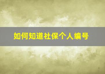 如何知道社保个人编号