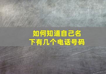 如何知道自己名下有几个电话号码