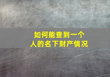 如何能查到一个人的名下财产情况